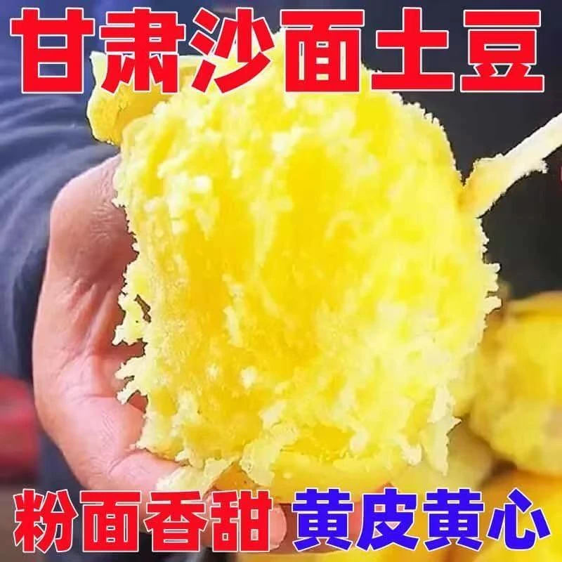 2025甘肃定西沙面土豆黄皮黄心高原种植高山马铃薯大洋芋农家蔬菜