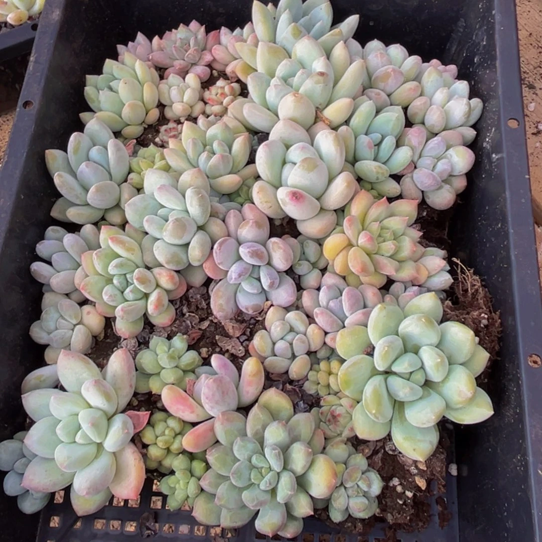 394多个城市和地区的近