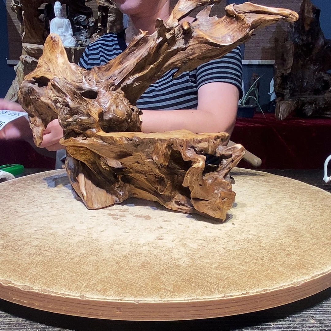 用****549。株木随行根艺