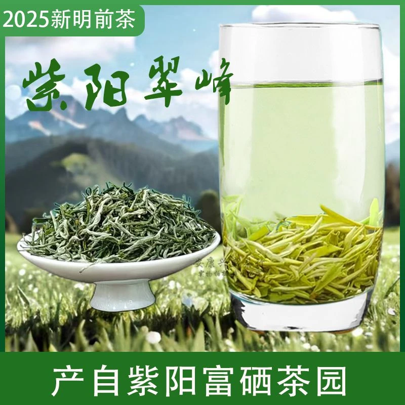 推荐新安康紫阳富硒茶叶产区翠峰毛尖茶明前嫩芽浓香耐泡散装