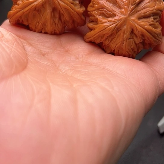 A****w核桃核桃核桃核桃