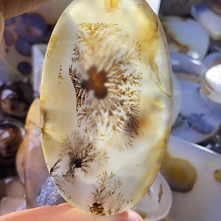 未镶嵌颈饰玛瑙/玉髓