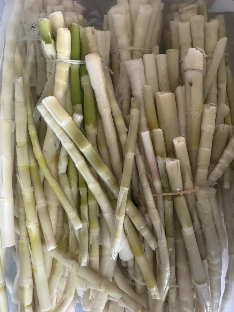 华容本地竹笋顺丰包邮多种可选