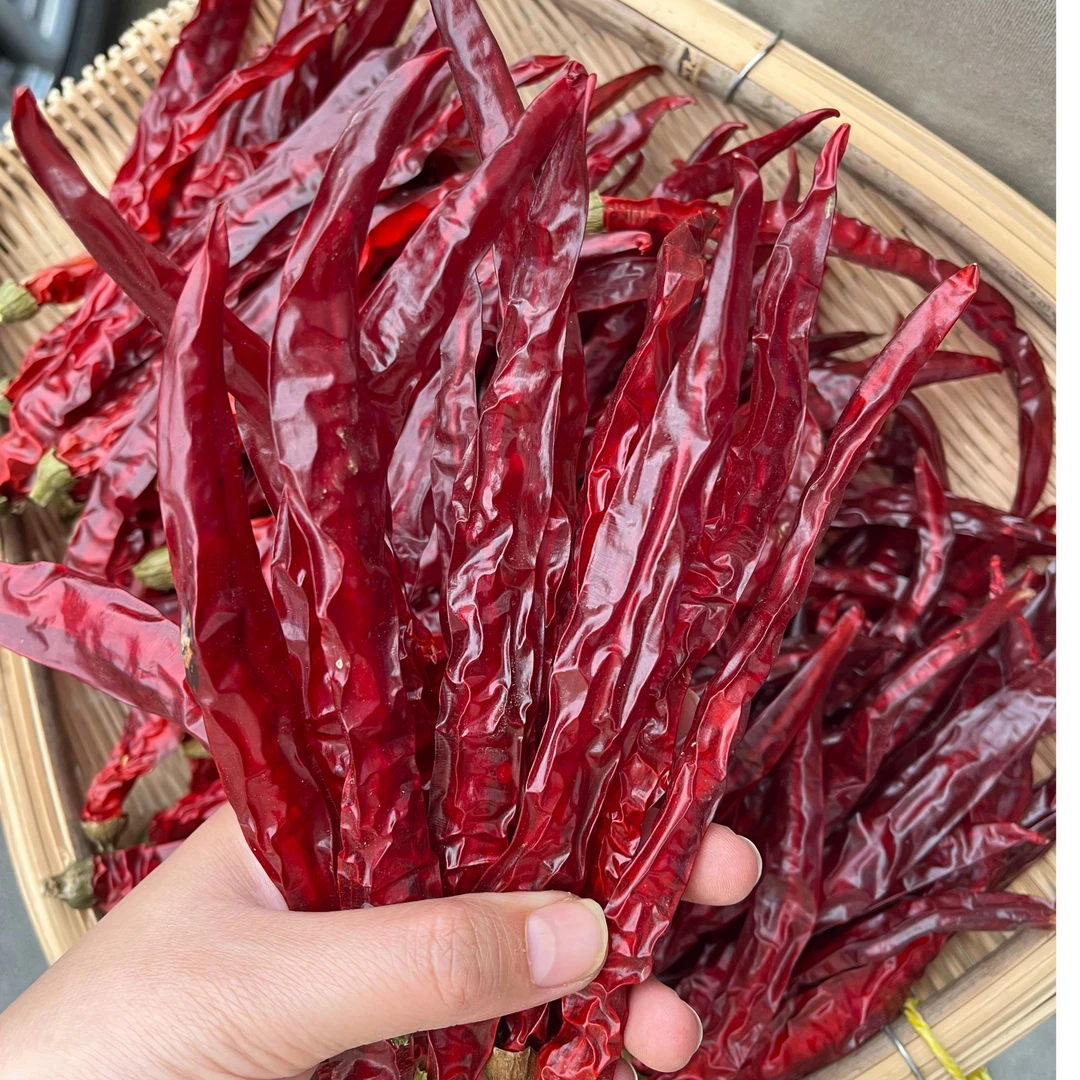 当季新货二荆条干辣椒正宗提香微辣农家味道