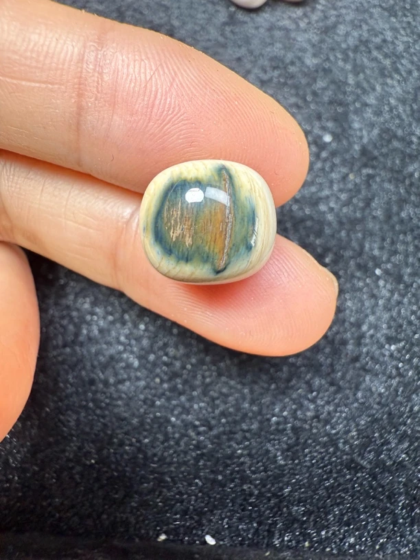 Y2718天然猛犸牙蓝皮蓝眼老型单颗12.5×11