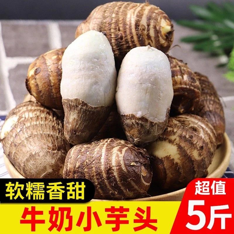 新鲜应季牛奶小芋头香甜软糯农家自种产地直发芋头新鲜香芋软糯