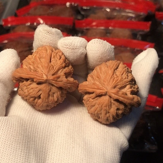 文玩核桃把件白狮子40