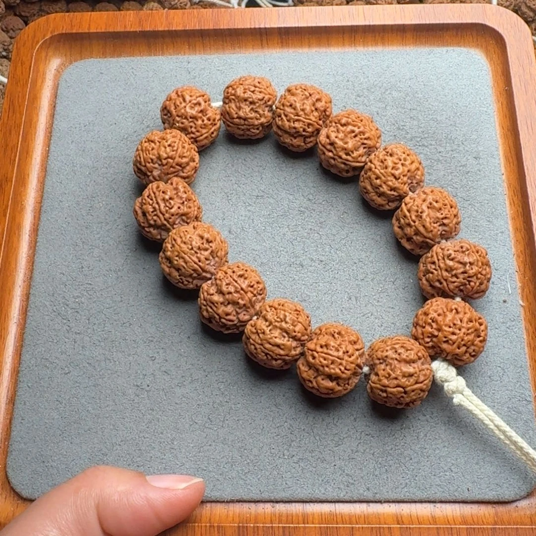 菩提菩提10号尼泊尔大金刚21满肉梅花