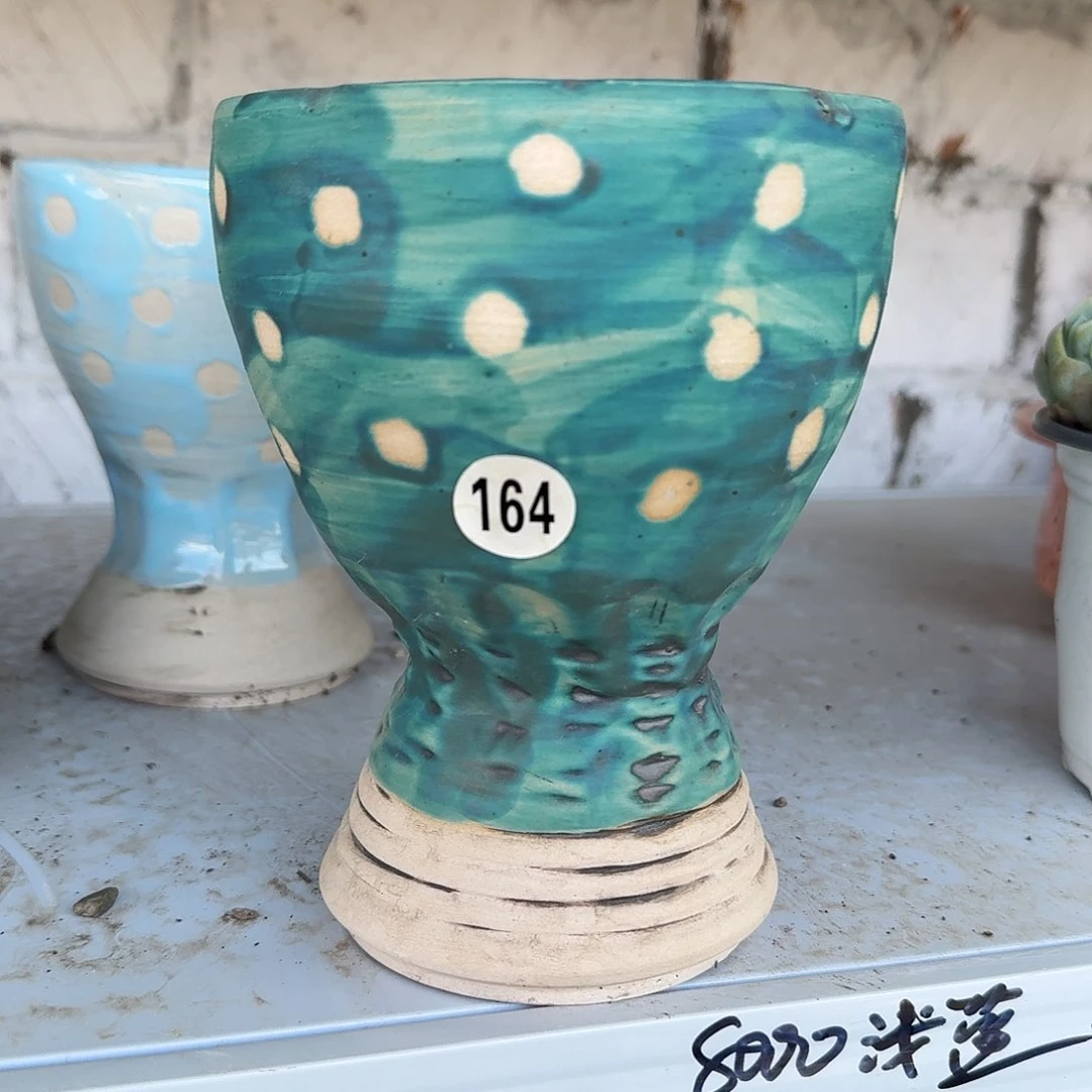 164花瓶多肉植物精品