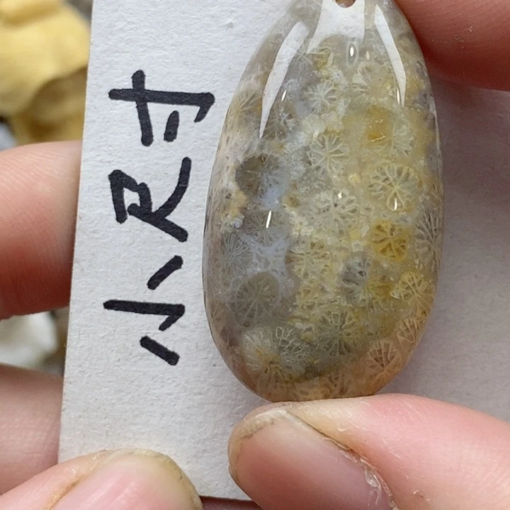 颈饰未镶嵌硅化珊瑚（珊瑚玉）