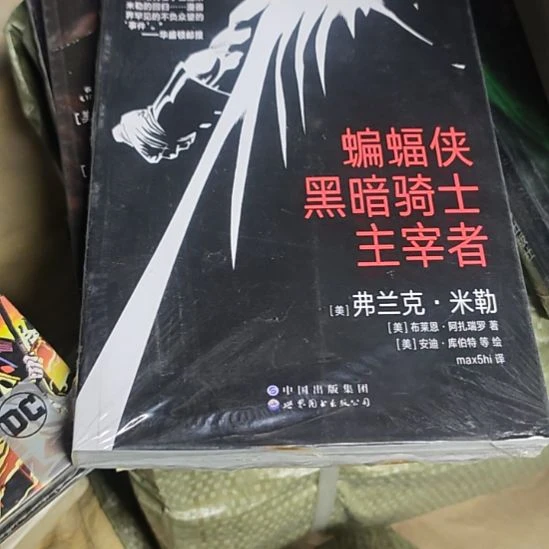 蝙蝠侠，黑暗骑士主宰者