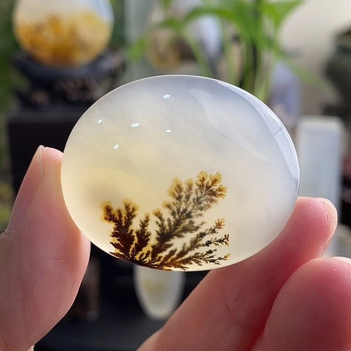 玛瑙/玉髓未镶嵌珠宝半成品