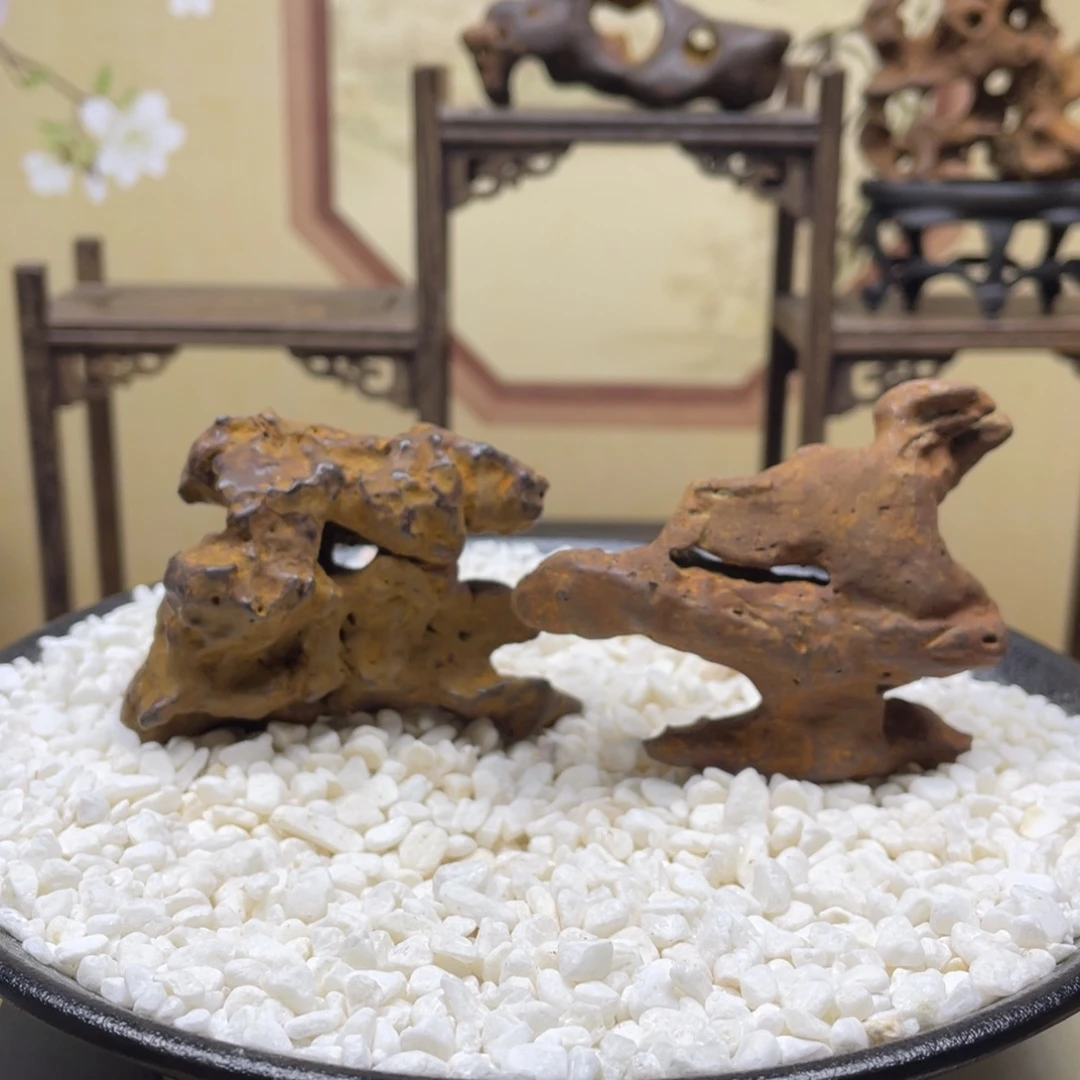 5*7/7*6苏州太湖水石一组