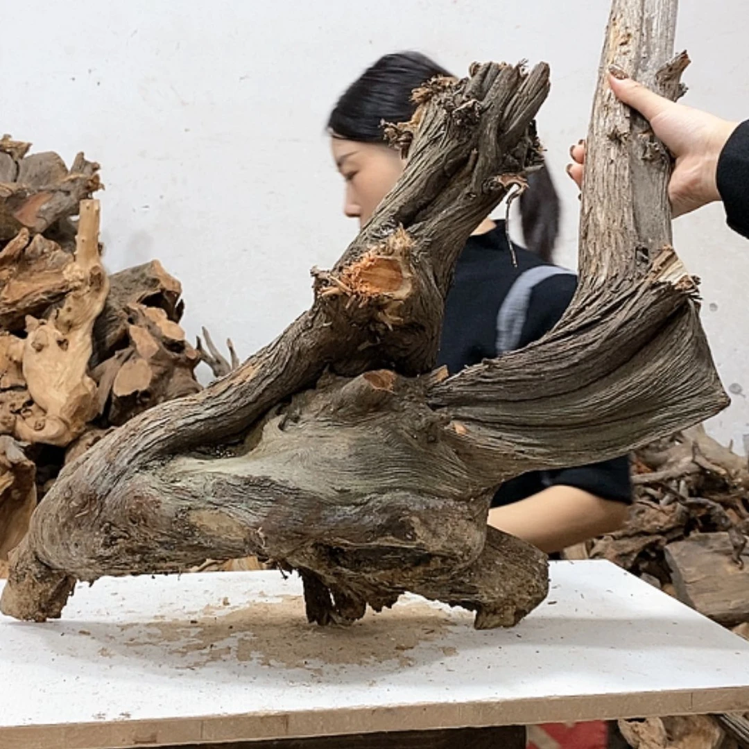 【闪购商品】柏木我****卡我们都是好孩子