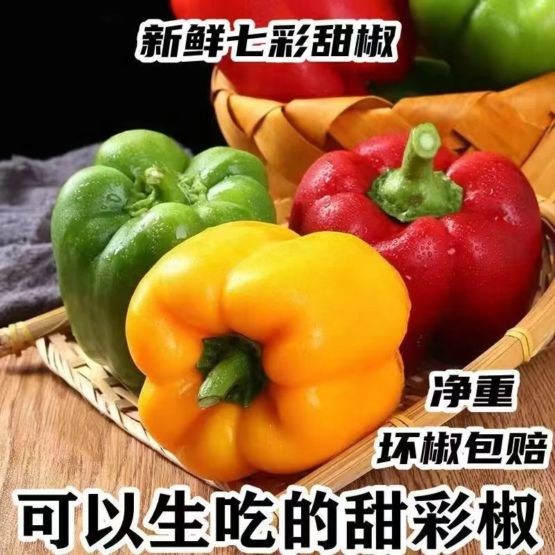 【现摘现发】红黄彩椒五彩甜椒大果柿子椒不辣食用新鲜灯笼椒水果椒