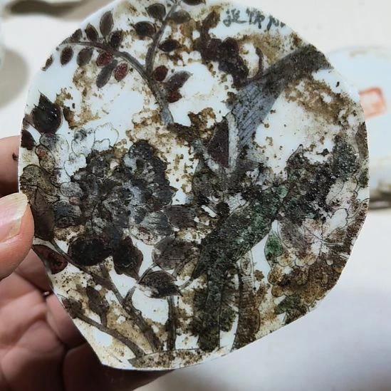 瓷片瓷片瓷片瓷片瓷片