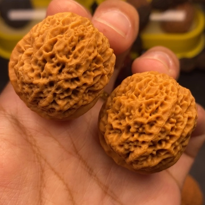 文玩核桃把件36尺蚂蚁元宝