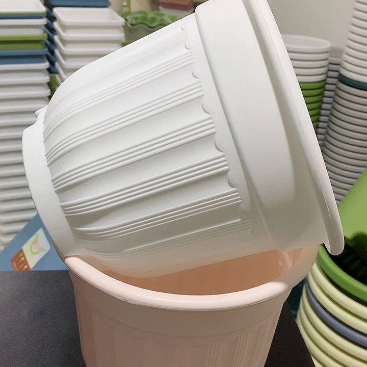 罗马口21白4个无托