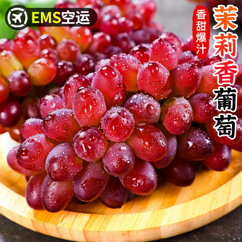 【EMS空运】茉莉香葡萄1-5斤当季新鲜红提子葡萄玫瑰香无籽香甜