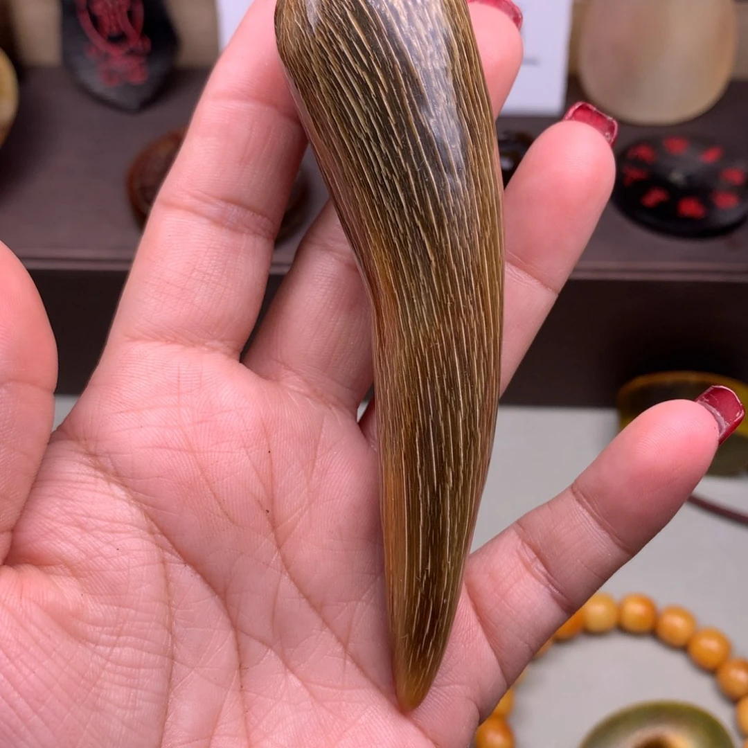 驼骨其他好看牛角