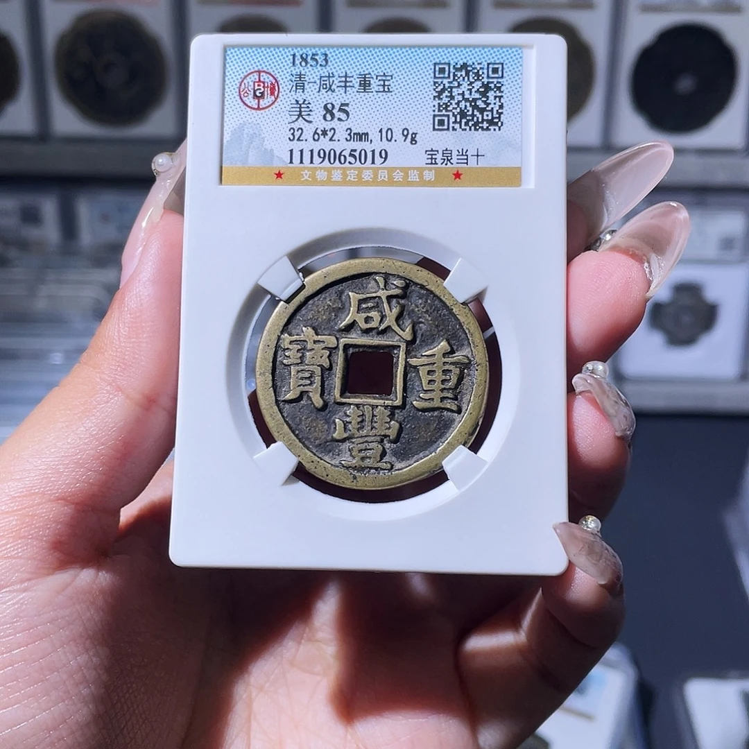 铜夏夏，泉十，评级码5019