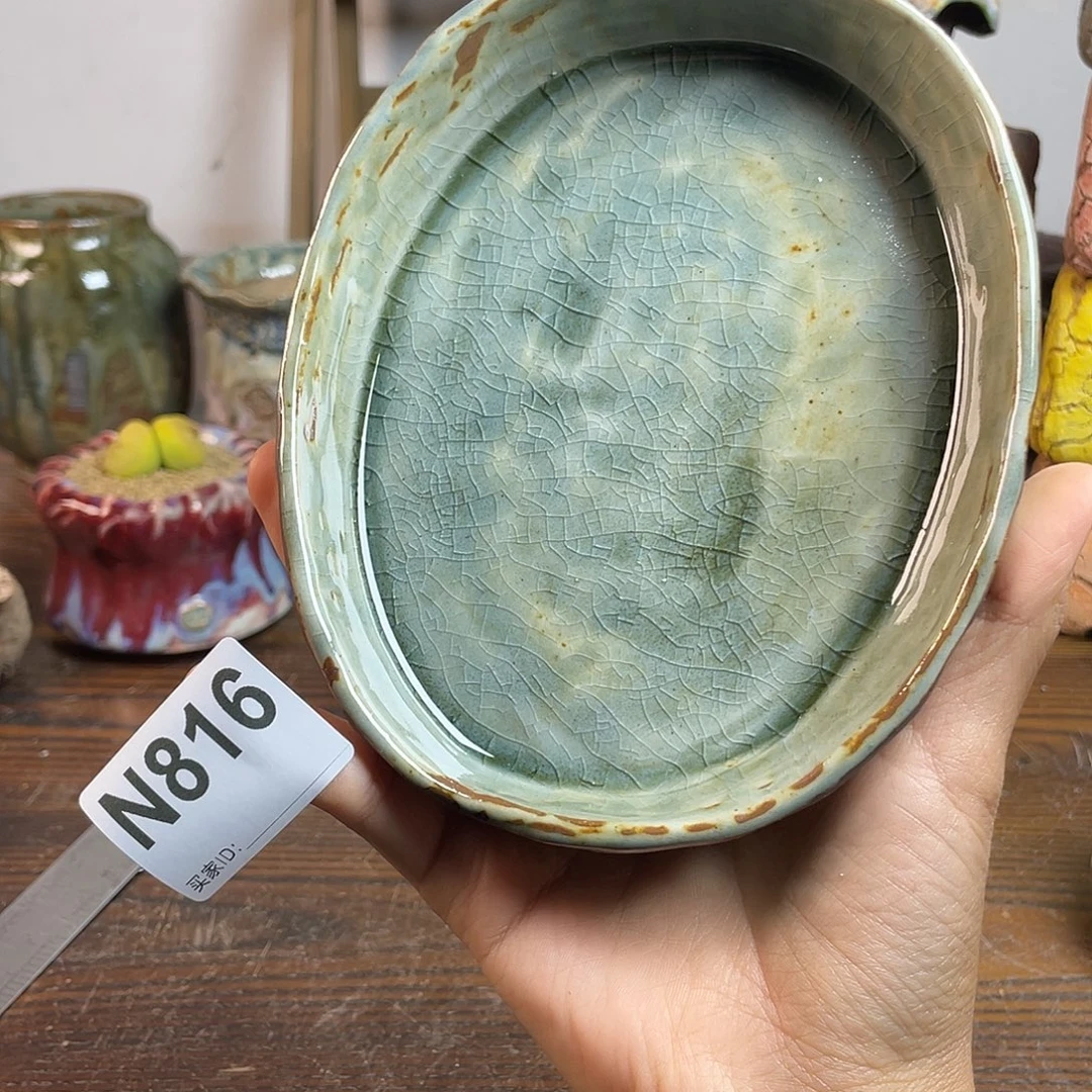 坛子姐花盆 双十二限时福利 默认微次