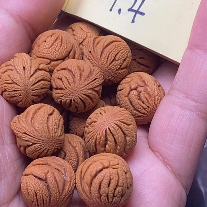 秦岭龙纹桃核17颗