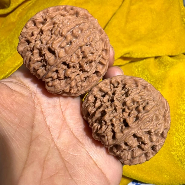 南疆石204边45.5高39肚42.5文玩核桃麻核桃精品核桃