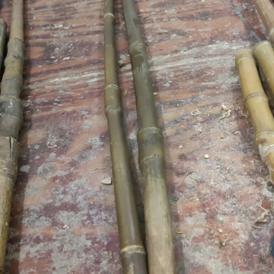 王***0实心玉竹手把件金条料