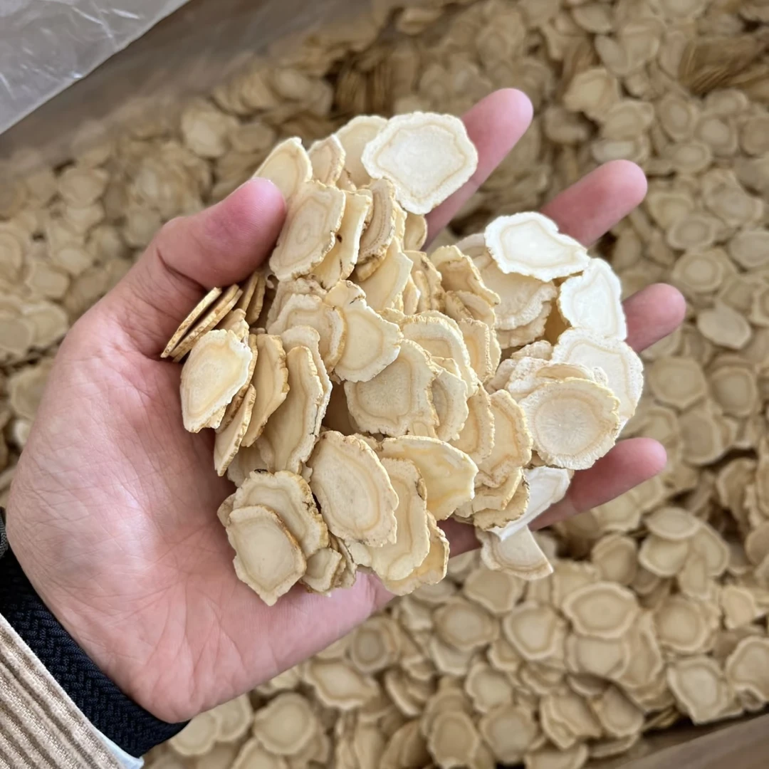 西洋参片子1.2｜整根 净重100克XIN