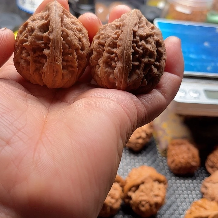 把件桃核红锦鲤边38肚38