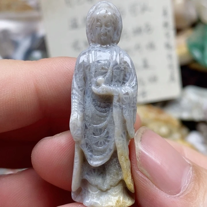 硅化珊瑚（珊瑚玉）未镶嵌颈饰