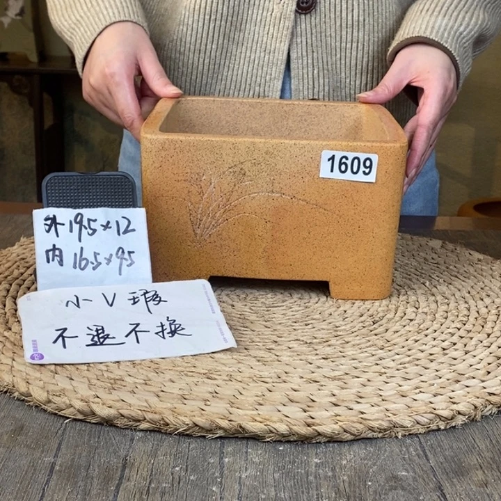 花盆紫砂  微微瑕柴烧刻绘一颗印1609