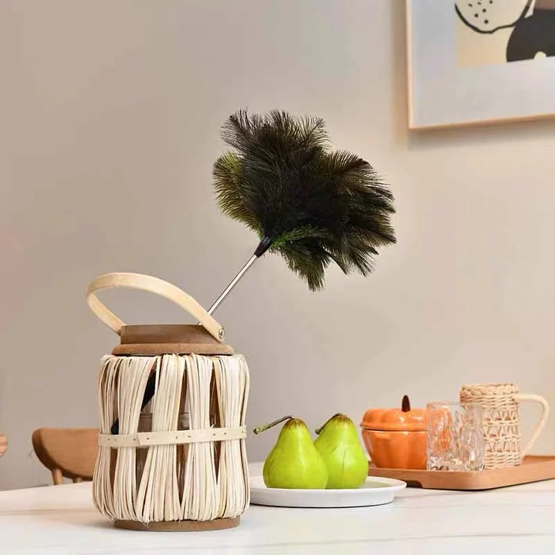 鸵鸟毛除尘鸡毛掸子可伸缩居家用美学摆件实用价值同观赏价值并存