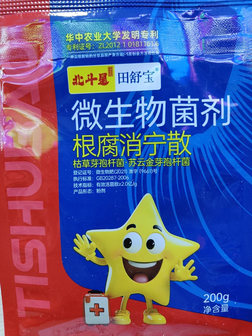 大蒜根腐病用根腐消宁散！