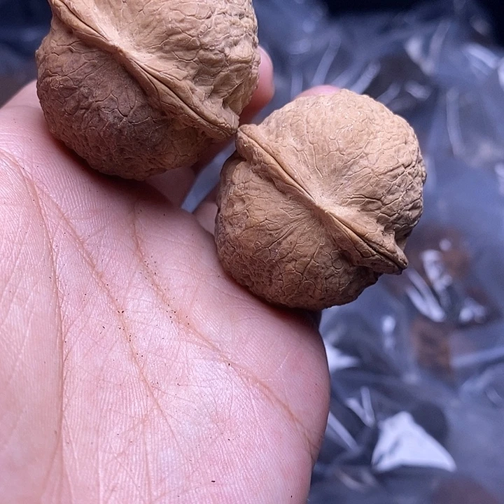 吊坠文玩核桃     130