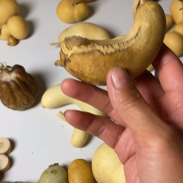 程***琼大厚皮异形葫芦手把