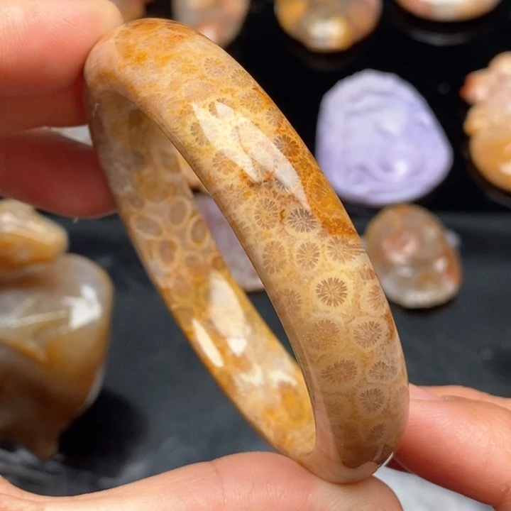 硅化珊瑚（珊瑚玉）手镯钛钢58.5