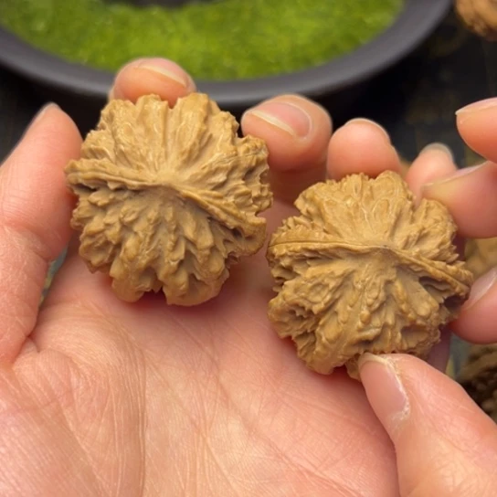 文玩核桃把件秦岭核桃13