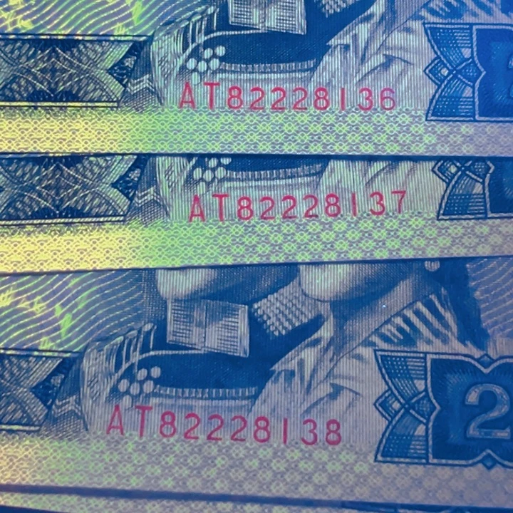 经***雨采风金辉特强荧光