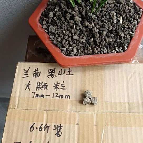 人***生兰菌黑山土大颗粒6.6斤