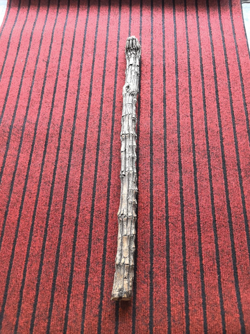 降龙木骨节木干料 长度68 直径3.6-3.8厘米 可遇不可求 看好私聊