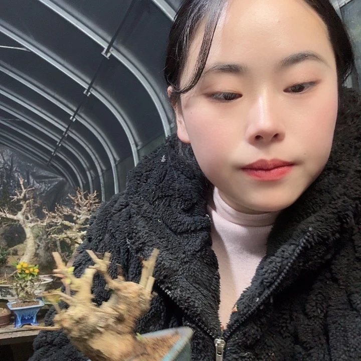 快***”无花朵开花结果的111111