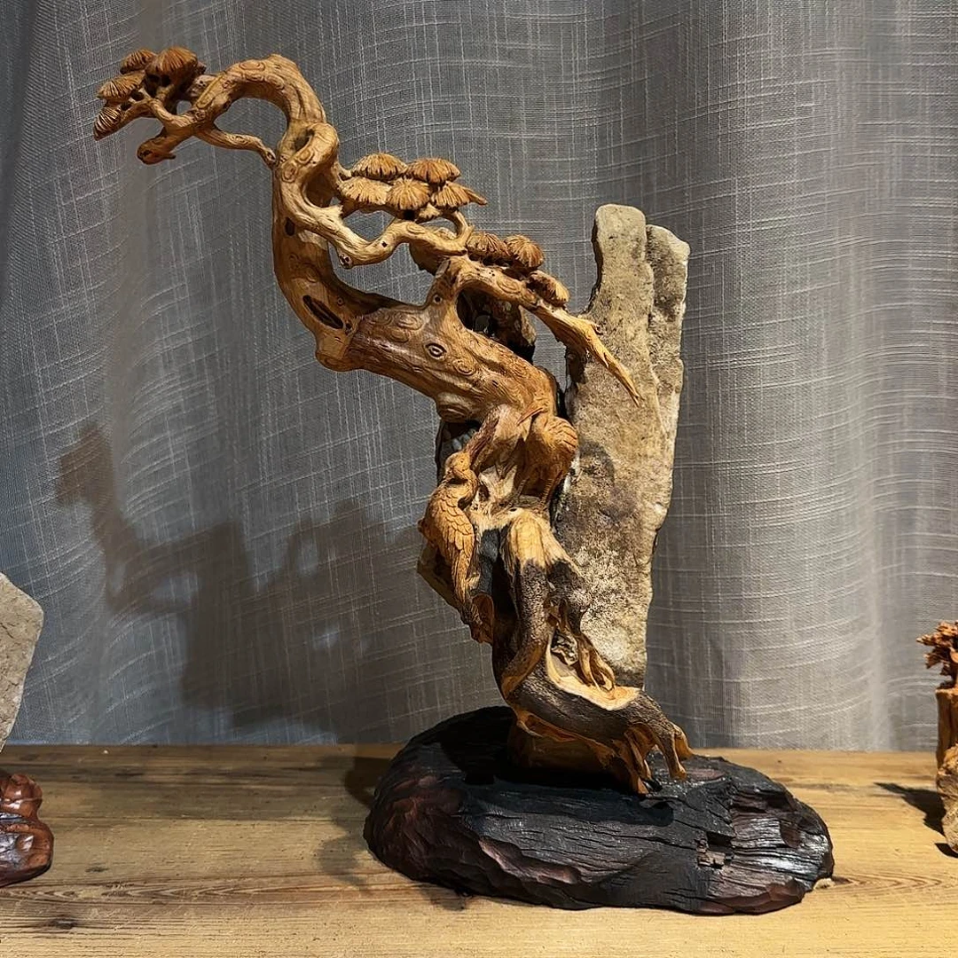 柏木（崖柏）一**缘太行集团