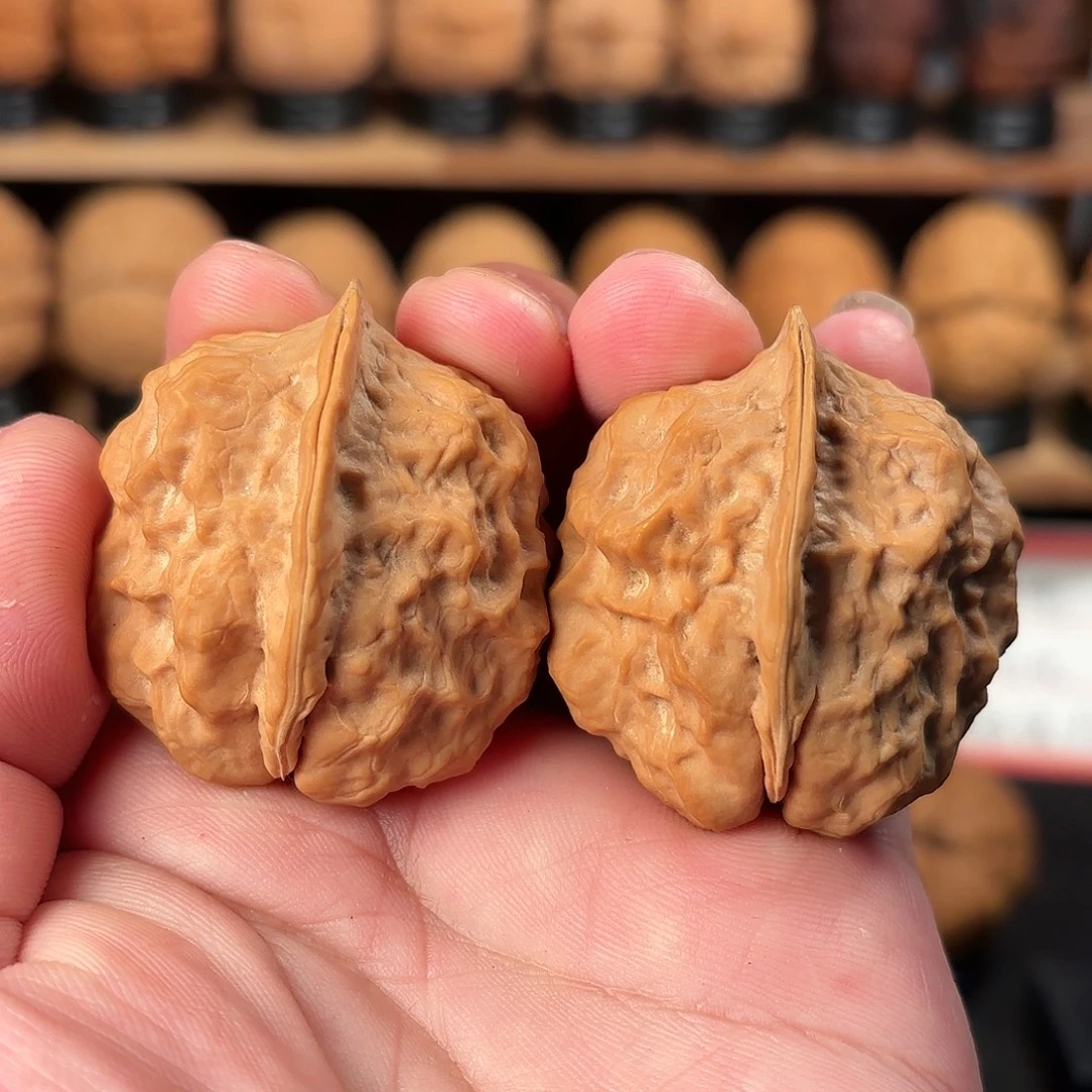 吊坠文玩核桃甲壳虫