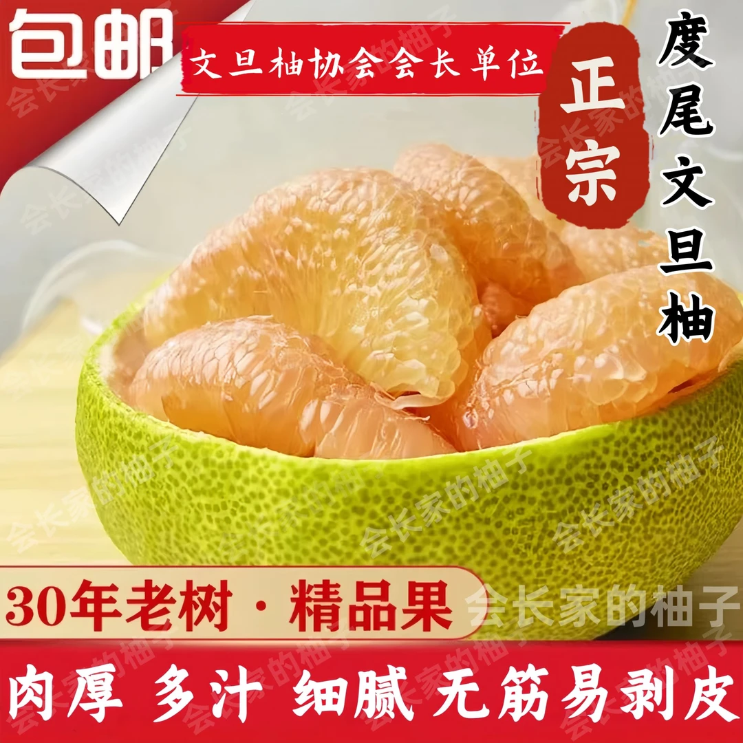【直播基地】福建度尾文旦柚无孔蜜柚红心柚现摘新鲜水果孕妇儿童