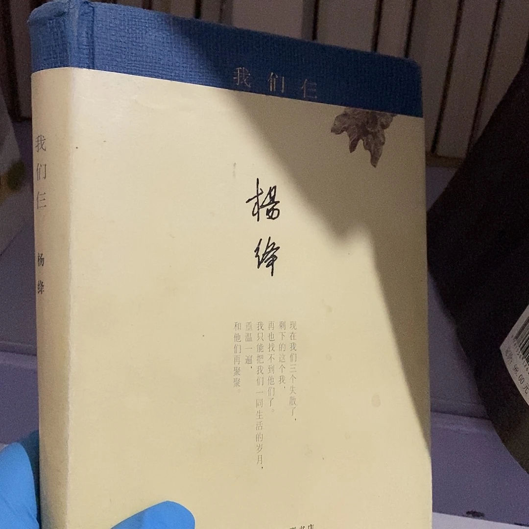 瑕疵破  精装我们仨