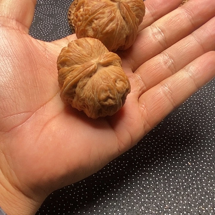 v***v元宝打个福利放漏