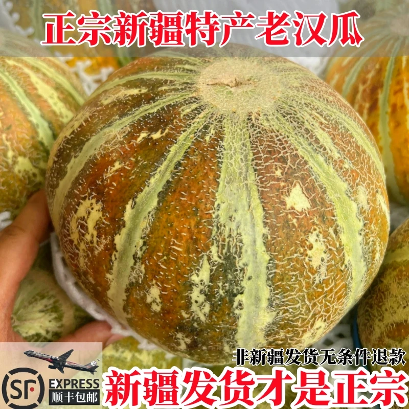 新疆老汉瓜新鲜喀什甘甜口感绵软冰激凌甜瓜软糯香甜顺丰空运
