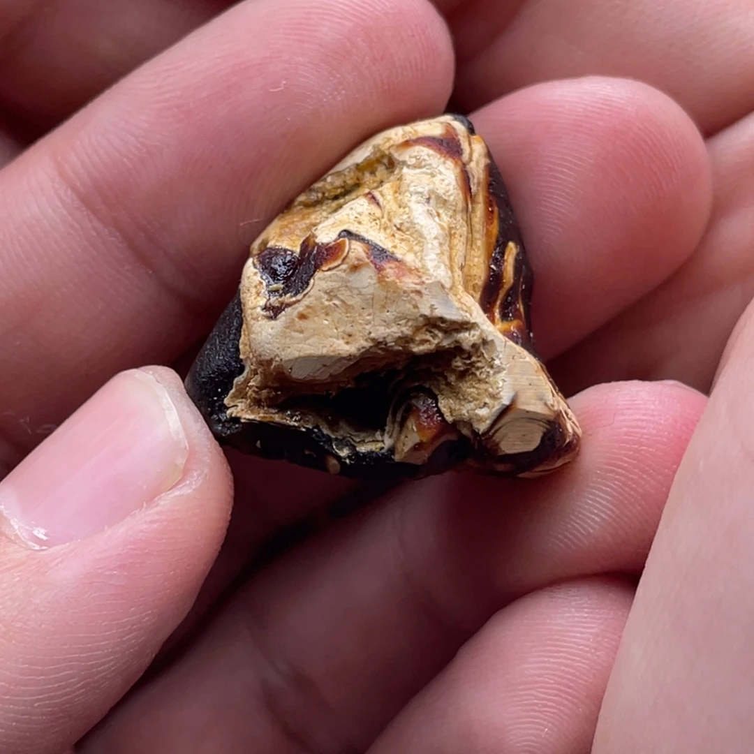 定制琥珀未镶嵌宝*蜜蜡